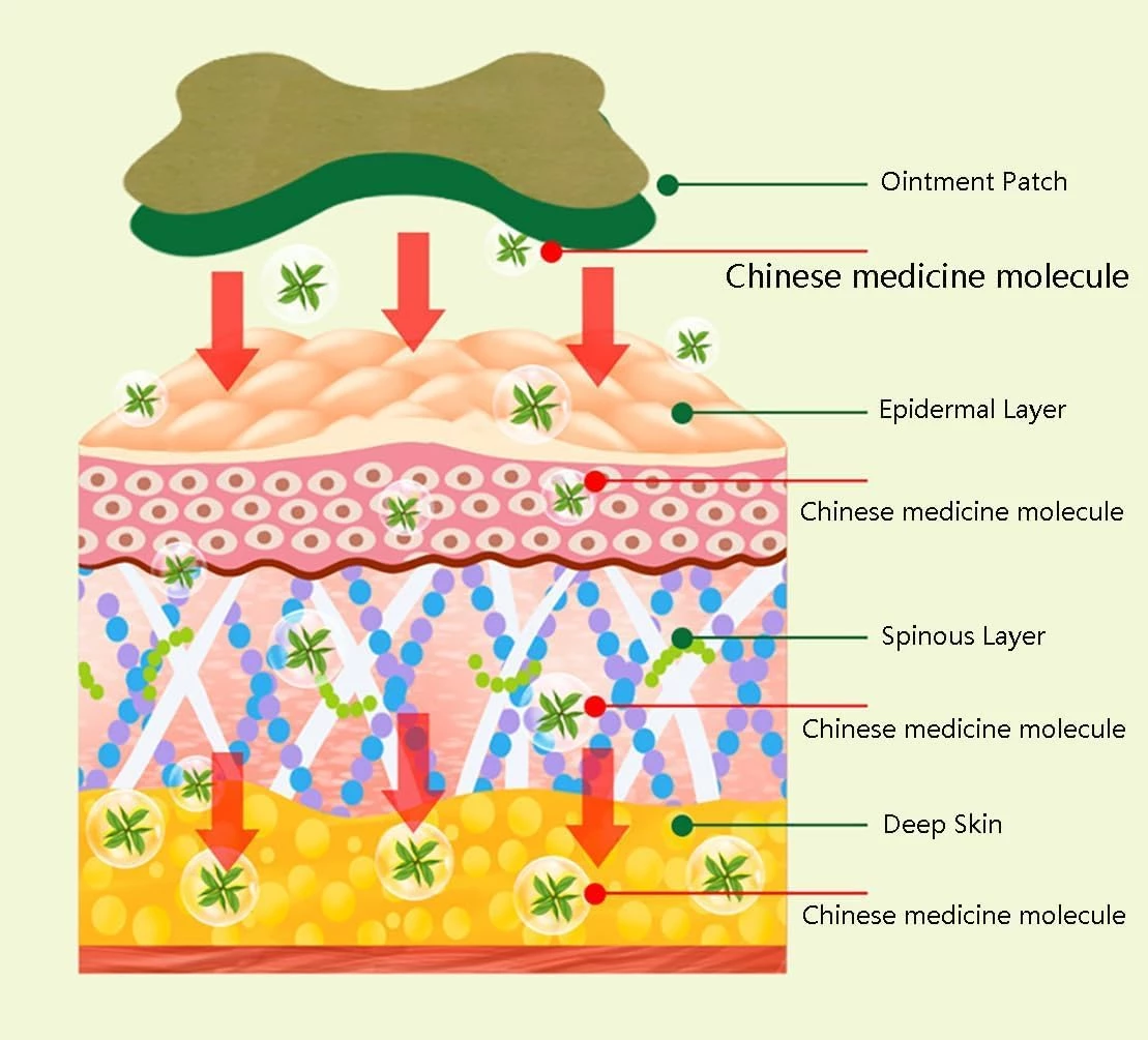 Sqinelli Knee And Joint Relief Patch-5.webp